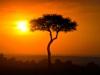 African Sunset